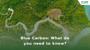 Blue Carbon