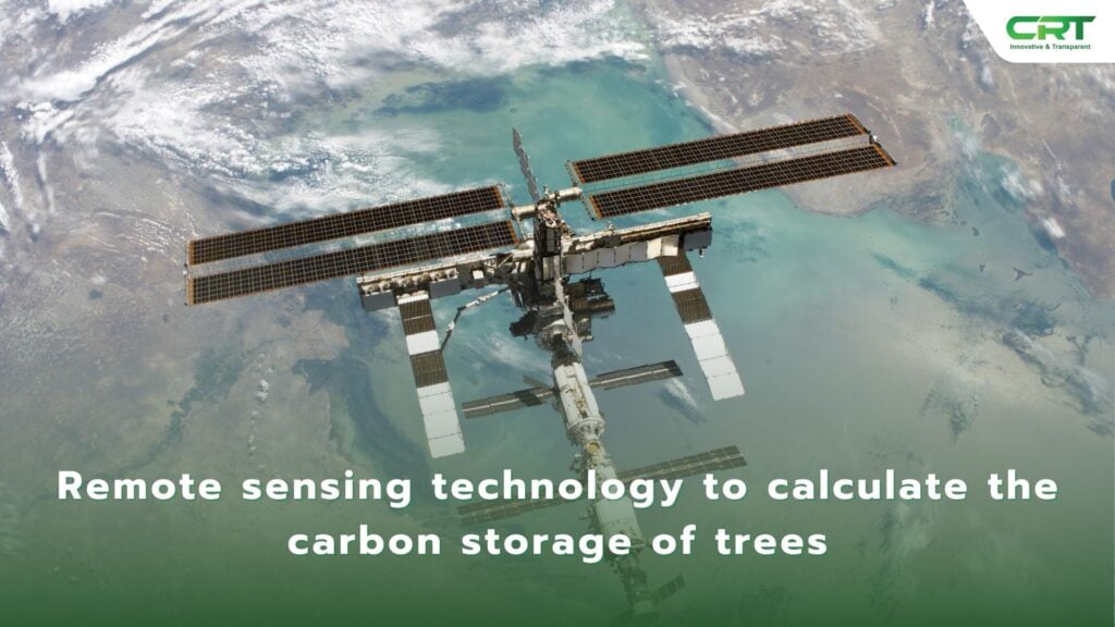 Remote sensing calculates the carbon storage of trees