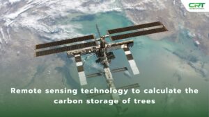 Remote sensing calculates the carbon storage of trees